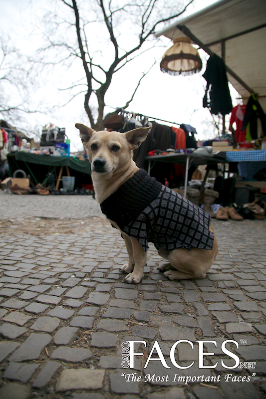 ©www.cabofaces.net Photography